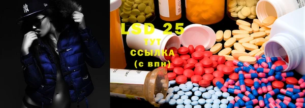 spice Алзамай