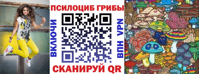 Псилоцибиновые грибы MAGIC MUSHROOMS blacksprut Красный Кут